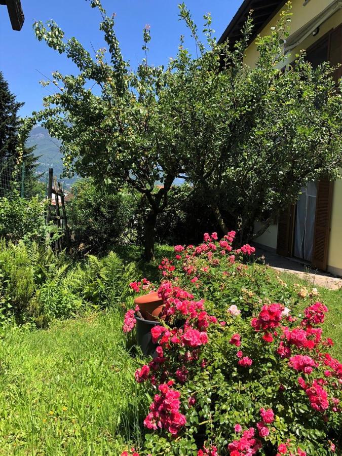 Apartamento The Children Smile- With Private Garden Colico Exterior foto